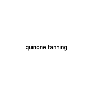 quinone tanning